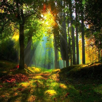 RJS-7早强高效减水剂